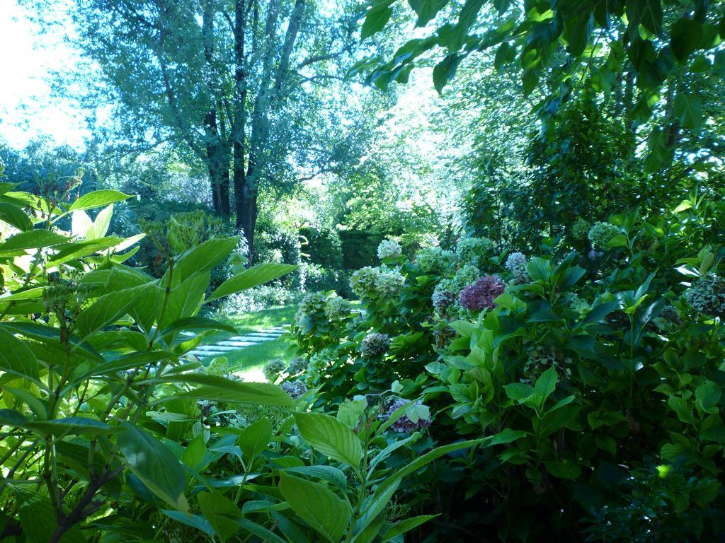 B&B Villa Dei Pini Domegliara Eksteriør billede