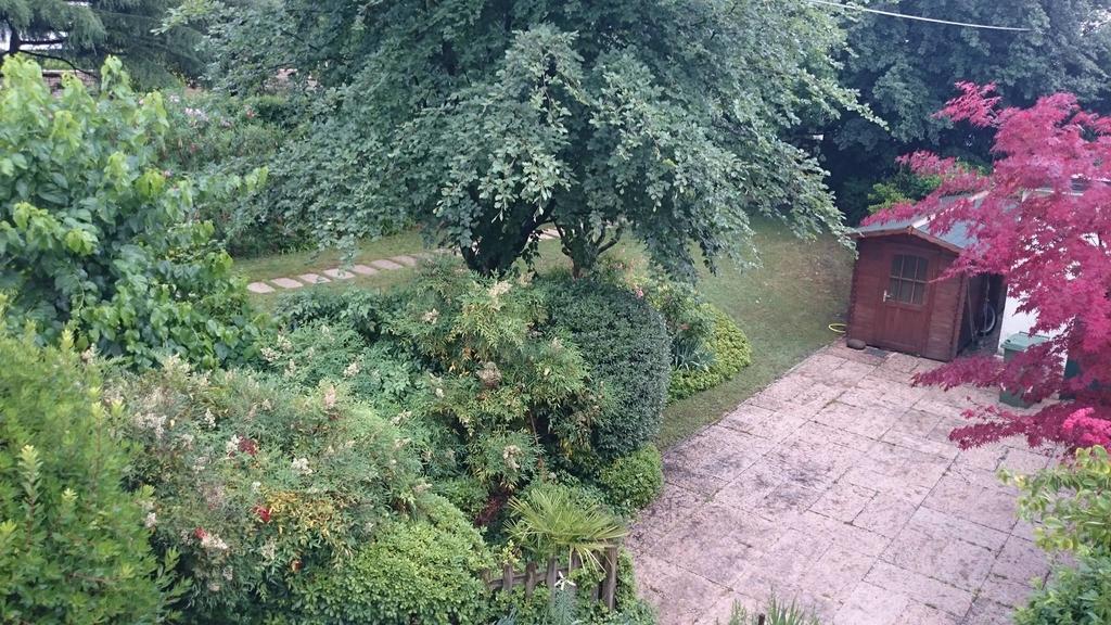 B&B Villa Dei Pini Domegliara Eksteriør billede